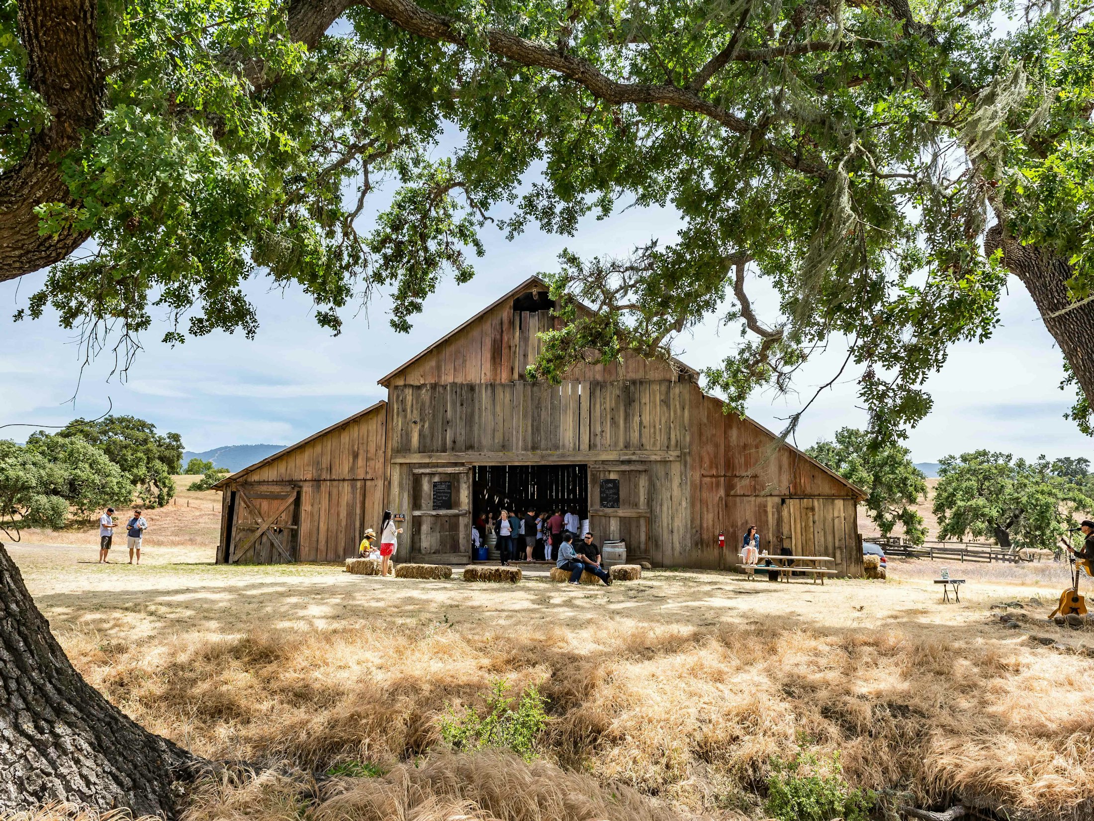 Photo of a barn beyond trees