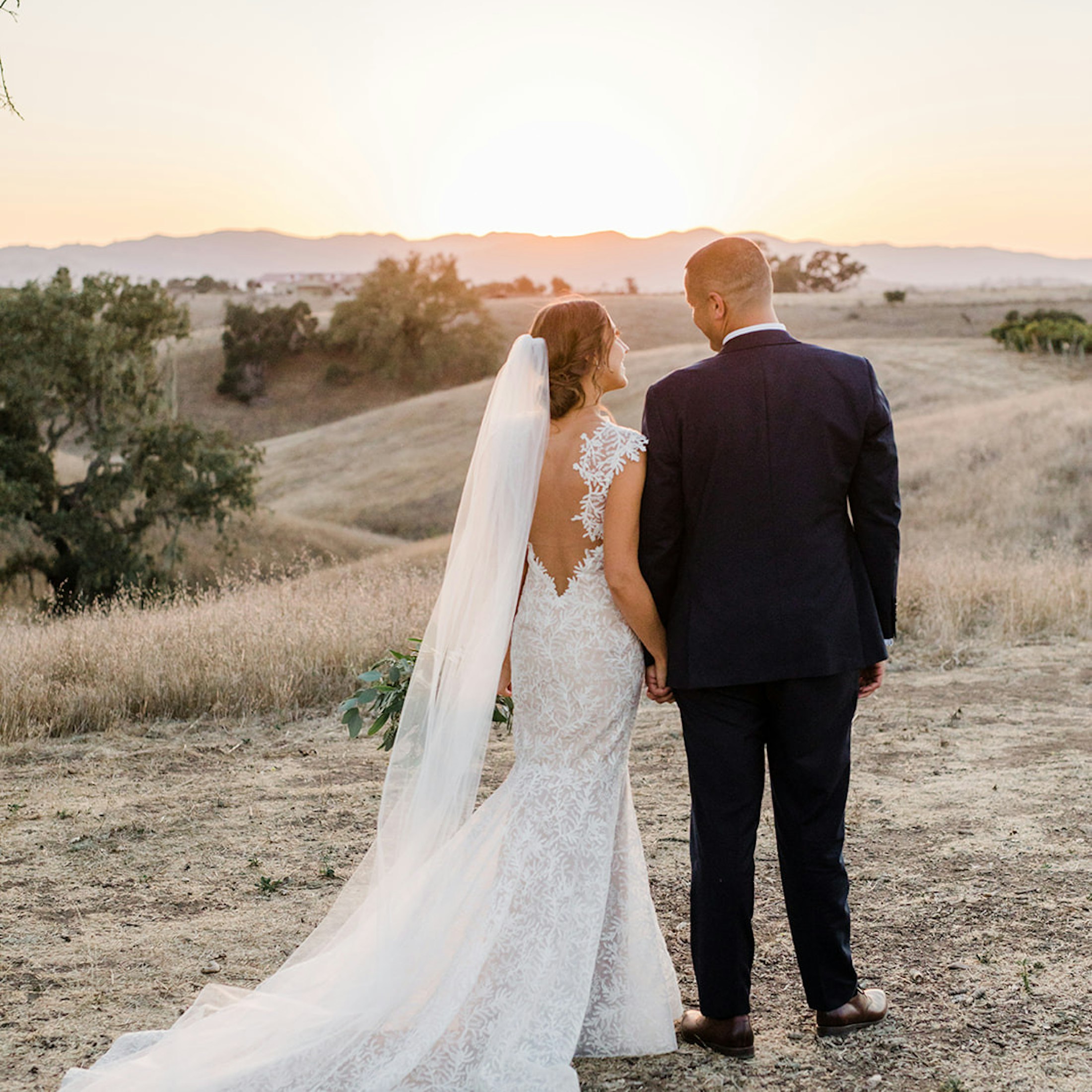 Just married couple looking out from a hill at a sunset