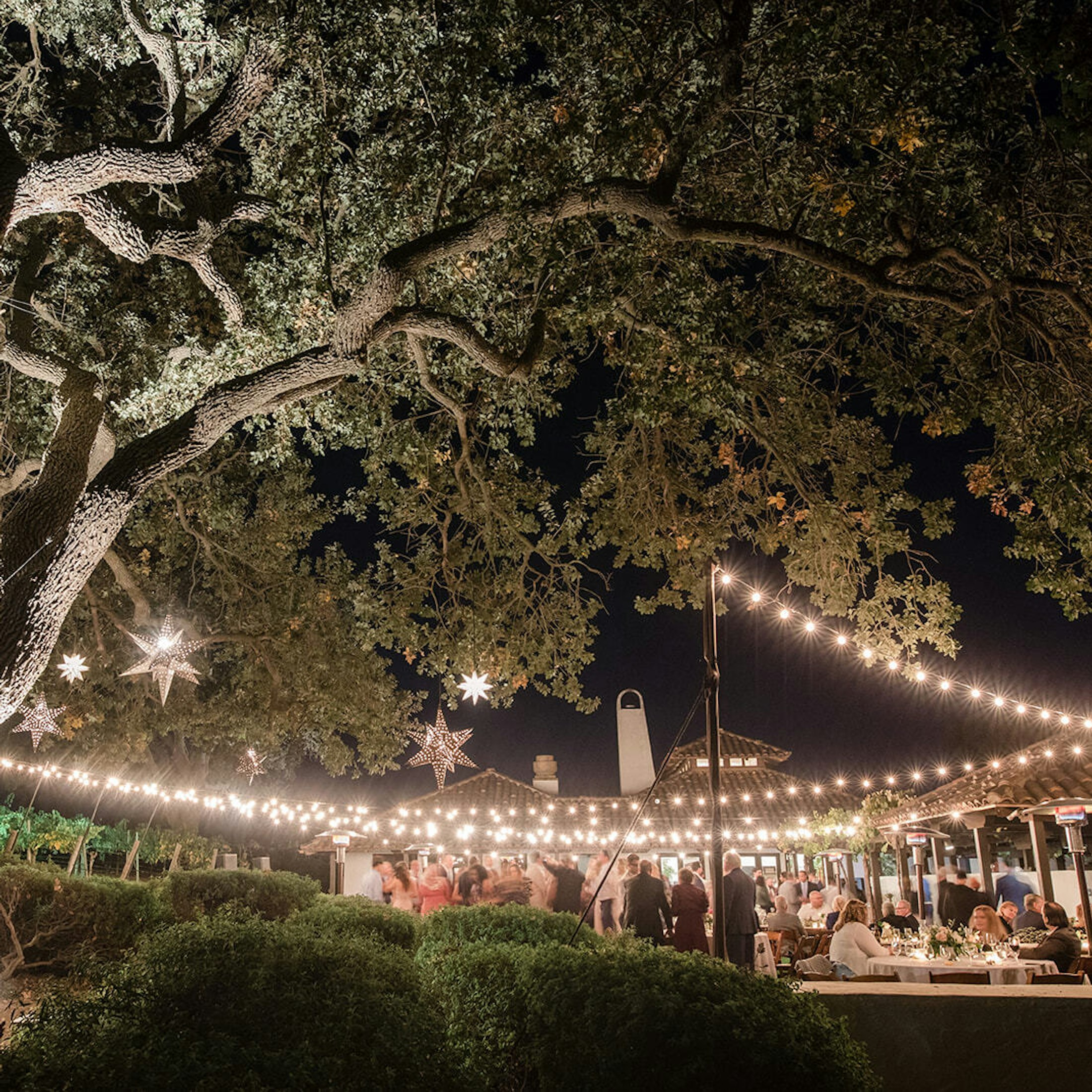 Lights strung over a wedding party at night with a lit up large oak tree in the foreground