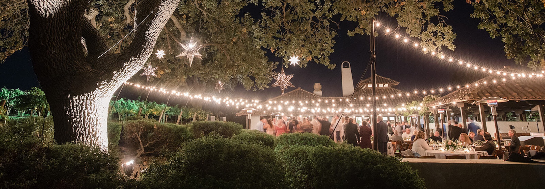 Lights strung over a wedding party at night with a lit up large oak tree in the foreground