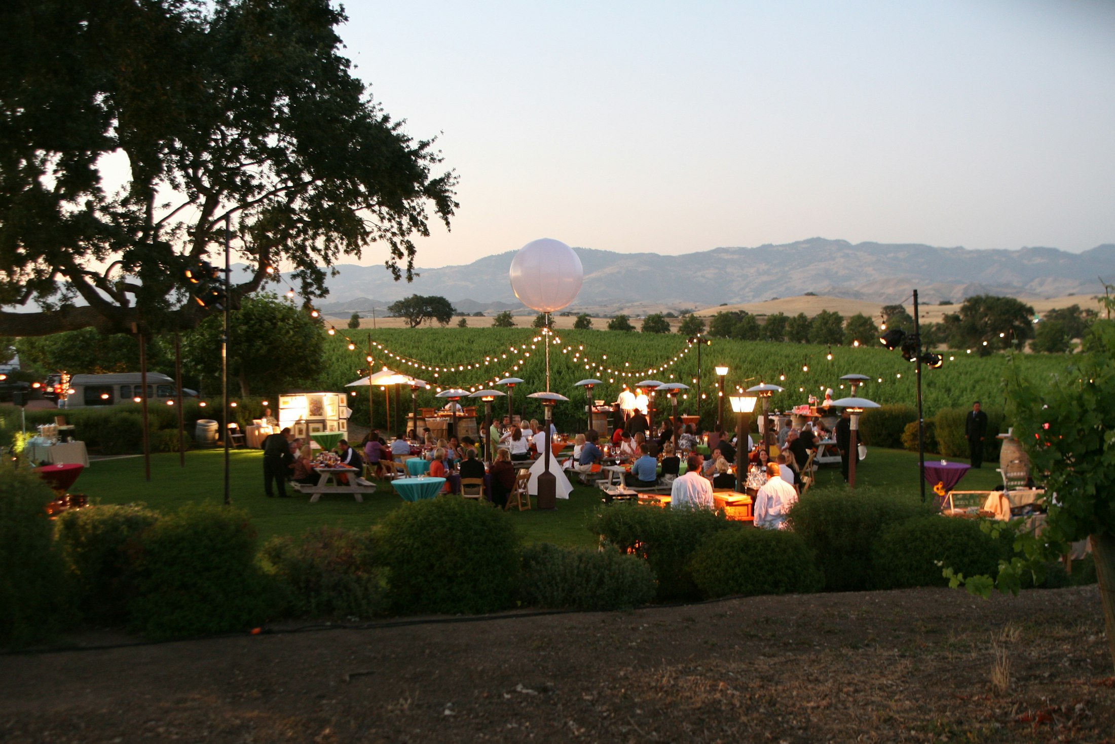 A sprawling luxury vineyard for your exclusive event
